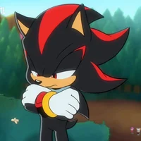 Shadow- The hedgehog