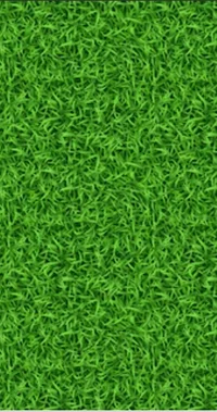 Grass