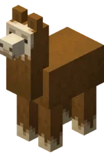 llama