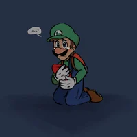 Incident Luigi