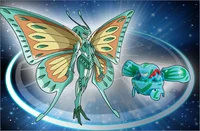 Monarus 