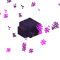 Endermite