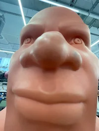 Kamtosss