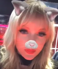 Cat Hybrid Taylor