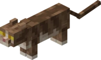 Minecraft Cat