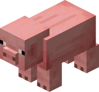 Minecraft Pig