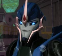 Arcee -TFP-