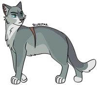 Warrior Cats