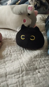Gato de peluche