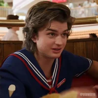 Steve Harrington 
