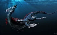 Sea Dragon