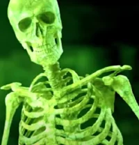 green skeleton
