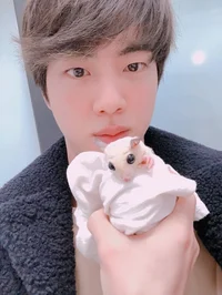 Kim Seokjin