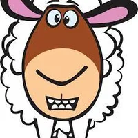 Perry the sheep