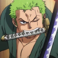 Zoro Roronoa 