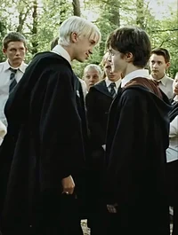 Draco and Harry 