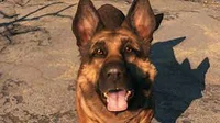 Dogmeat