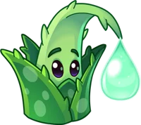 Aloe pvz2