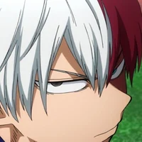 Shoto Todoroki