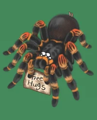 Giant Pet Spider