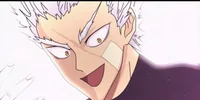 Reforming Garou