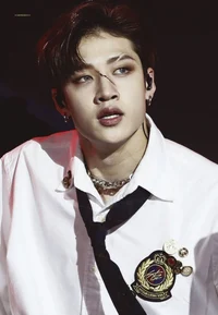 Bang Chan 