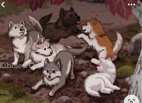 Yanderhybridwolf kid