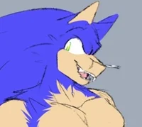 Sonic the Hybrid