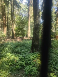 School for outsiders