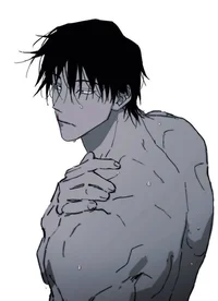 Toji Fushiguro 