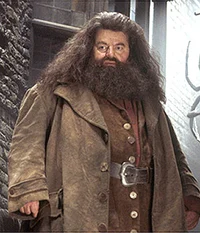 rubeus hagrid