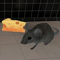 Rat