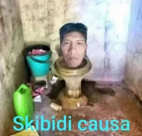 Skbidi causa