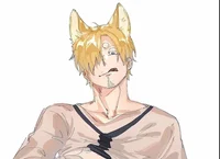 Cat sanji