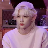 SKZ- Felix The Bully