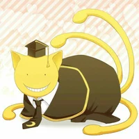Koro-sensei cat