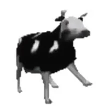 polish cow