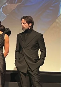 Sebastian Stan 