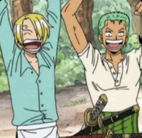 Zoro and Sanji