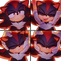 Shadow the hedgehog 