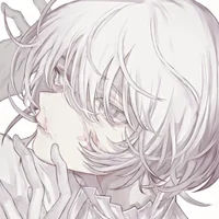 Sei