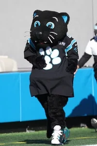 Sir Purr