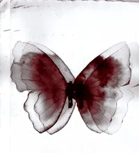 Soniun