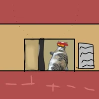 cashier fish cat