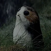 001 - Symbol Meaning