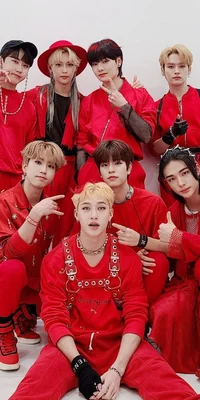 Stray kids 