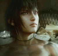 Noctis Lucis Caelum