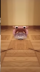 Floating Hand Spider