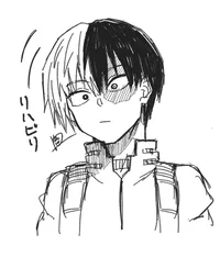 Shoto Todoroki