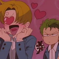 Sanji and Zoro 